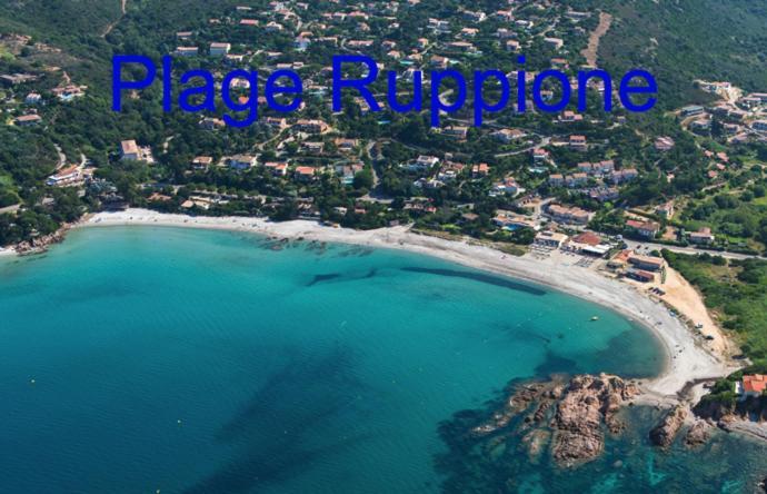 Vue Mer Panoramique Plage 50M Porticcio Corse Exterior photo
